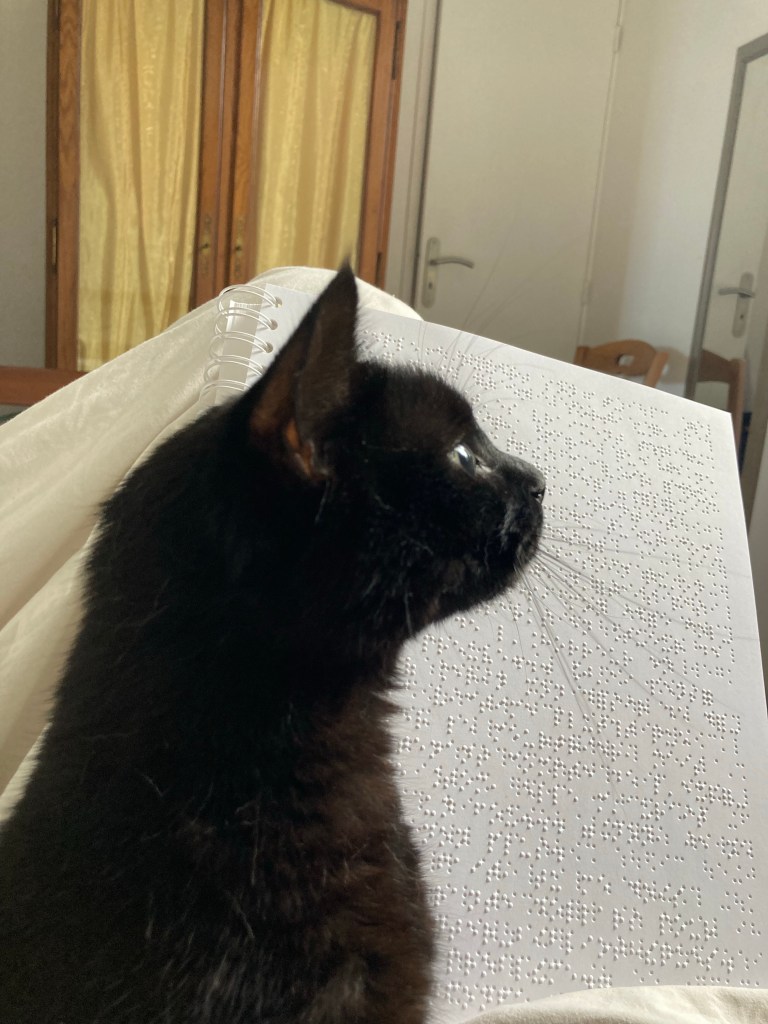 Stella, petite chatte noir, est assise devant un livre en braille ouvert.
