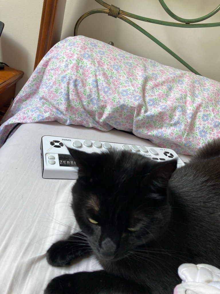 Stella, petite chatte noire, est couchée sur un lit pile devant une grande plage braille.