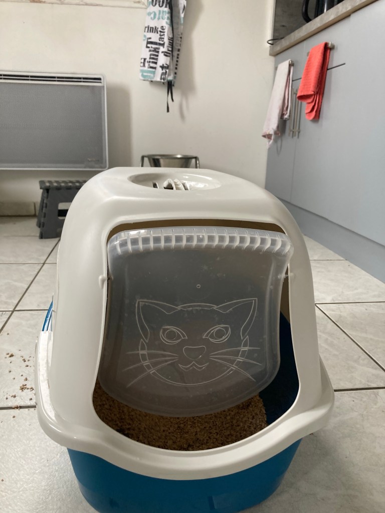 Une caisse à litière pour chat avec un toit-couvercle et une petite porte-battante transparente.