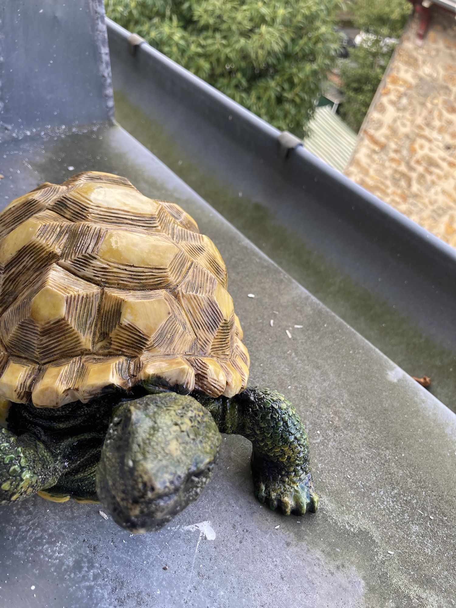 Une grosse tortue en résine est posée sur le rebord d’une fenêtre. Elle est dans un style plutôt réaliste.