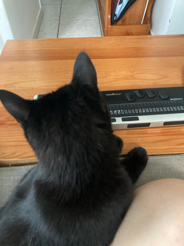 Stella, petite chatte noire, est assise sur les genoux de Billie qui est assise sur son canapé. Elle est de dos, face à la commode en bois où est posée une plage braille.